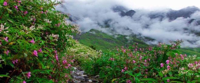 Valley Of Flowers Trek
