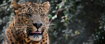 Corbett Nainital Tour 5N/6D
