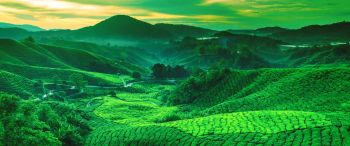 Darjeeling Tour 3N/4D