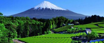Gangtok Darjeeling Tour 4N/5D 