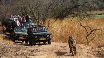 Jaipur Ranthambore Tour 4N/5D