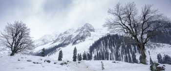 Kashmir Diwali Special Tour 6N/7D