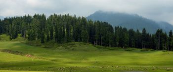 Kashmir Tour 7N/8D
