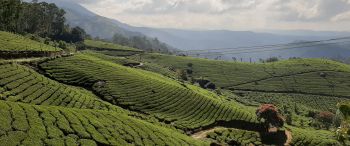 Kerala Tour 6N/7D