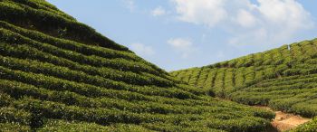 Kerala With Nature 5N/6D