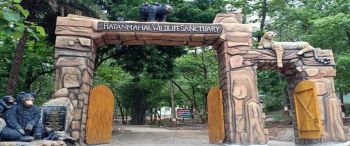 Ratanmahal Wildlife Sanctuary