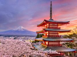 Japan Tour 5N/6D