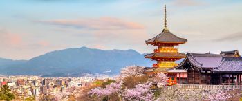 Tokyo Kyoto With Osaka Tour 9N/10D