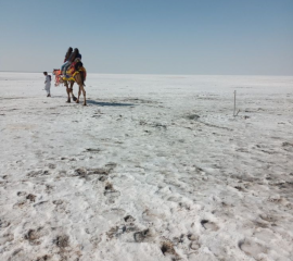 White Rann Of Kutch Tour 2N/3D