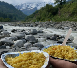 Manali Kasol Trekking