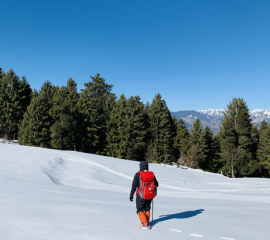 Dalhousie Snow Trekking