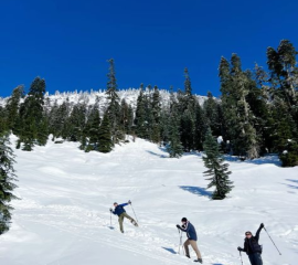 Dalhousie Snow Trekking