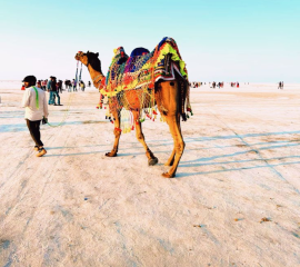 White Rann Of Kutch Tour 2N/3D