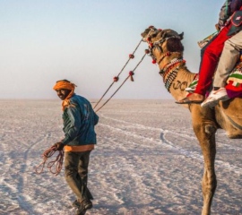 White Rann Of Kutch Tour 2N/3D