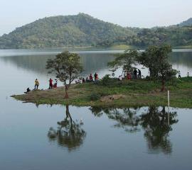 Lush Forest And Lake