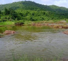 Monsoon Lake